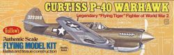 014-GU501 Curtiss P-40 Warhawk Balsabau 