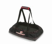 351-R14013 Robitronic 1/8 Buggy Dirtbag  